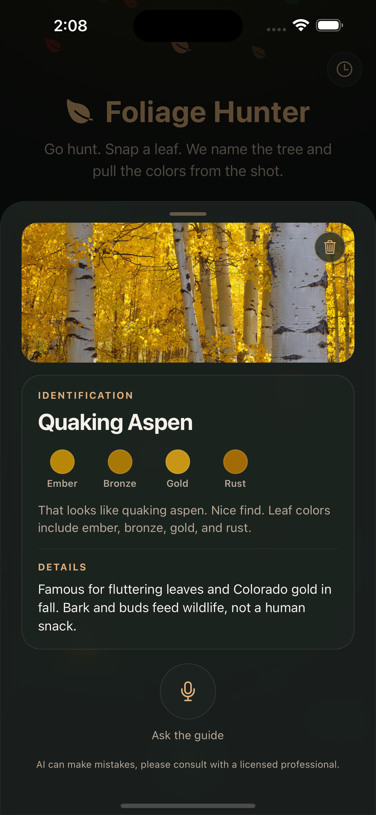 Quaking aspen card